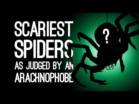 Video: Spider Tidak Masuk Akal: Nasib Pemain Permainan Video Arachnophobic