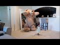 DADDY PRANKS BABY WITH HUGE TEDDY BEAR!!!