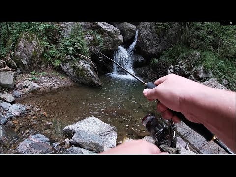 Video: Trucchi Per La Pesca Invernale. Come Portare Un Pesce Persico. Il Tempo Non è Un Ostacolo