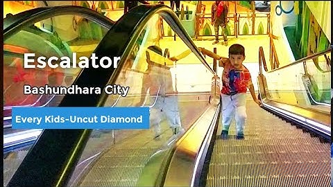 Escalator Using and Learning Part-2