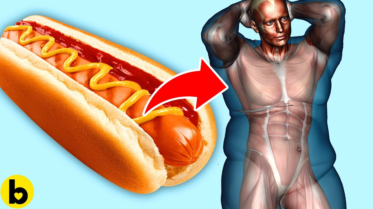 What Happens To Your Body When You Eat Hot Dogs Every Day