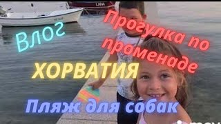 Влог Ужин Прогулка по променаду пляж для собак  🐕‍🦺