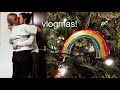 Lesbian Things & Decorating the Tree