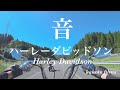 【Harley Davidson sound】ハーレーダビッドソンの『音』を楽しむ