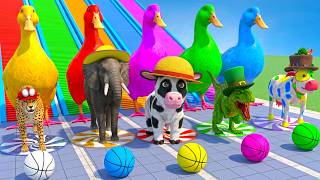 Long Slide Gradient Animal Race With Cow Elephant Dinosaur Tiger 3d Animal Game || Funny 3d Animals