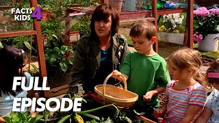 Courgette & Parmesan Bake! | I Can Cook | S01 EP22 | Full Episode | Facts4Kids