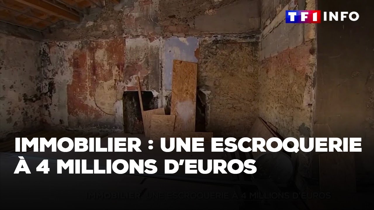 Immobilier : une escroquerie à 4 millions d’euros｜TF1 INFO