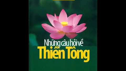 Những câu hỏi về Thiền Tông   THIỀN TÔNG TÂN DIỆU   ĐĨA 04-Tác Giả Nguyễn nhân