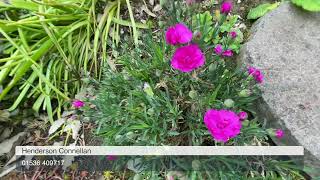 16 Harden Close Great Oakley Video