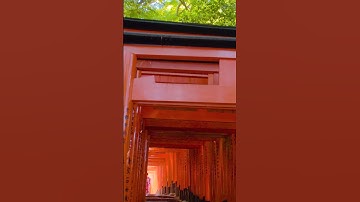 Incredible Torii gate tunnel, Kyoto | Amazing Japan Travel Adventure Documentary