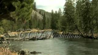 Scenic Yellowstone.avi