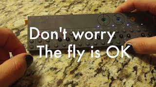 Track Length, Odd Time Signatures, Step Input With Note Length, and Live Recording,