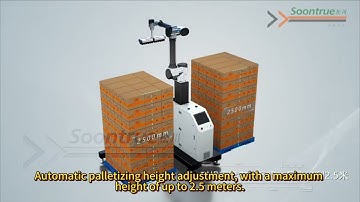 3D Robotic Palletizing Layout | Soontrue End-of-Line Packing Simulation