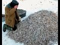 Рыбалка на Байкале Зима 2017 - Очень Много Рыбы! Часть 2.