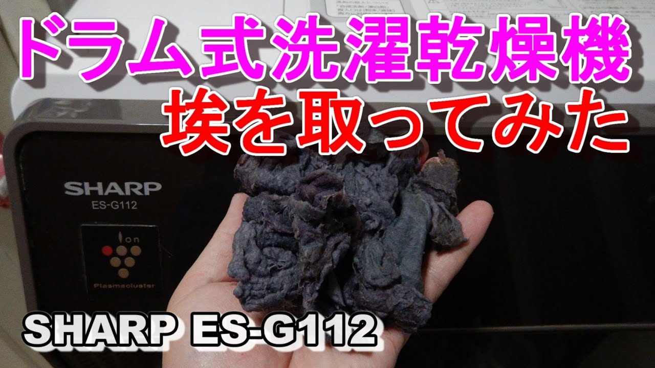 送料設置無料EJ5344番 SHARP ドラム式洗濯乾燥機 ES-G112-TR 送料設置無料EJ5344番 SHARP ドラム式洗濯乾燥機 ES-G112-TR ES-G11B