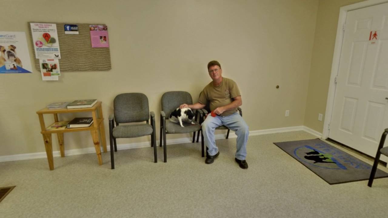 Asheville Veterinary Associates Asheville, NC Veterinarian YouTube