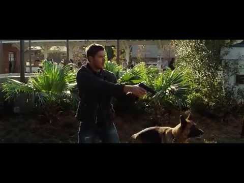 The Lucky One gun scene