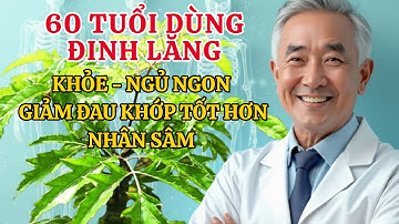 Đinh Lăng – “Nhân Sâm Việt” Giúp Người 60+ Ăn Ngon, Ngủ Sâu, Hết Đau Nhức Xương Khớp
