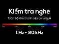 🔊👂 Kiểm tra thính lực tại nhà – 1Hz đến 20.000Hz – Toàn bộ phổ âm thanh của con người 🔊👂