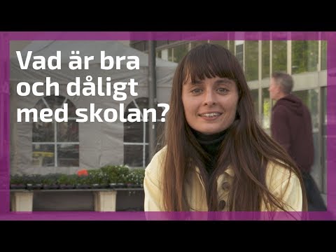 Video: En Fjärdedel Av Latinos Tror Inte På De Amerikanska Offentliga Skolorna