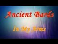 Ancient Bards -  In My Arms (HD Lyrics on screen)