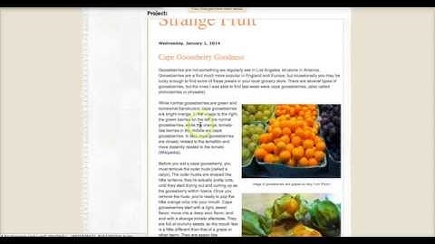 Embedding Blogger into a Google Site