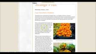 Embedding Blogger into a Google Site