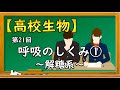 高校生物【第21回 呼吸のしくみ①〜解糖系〜】オンラインで高校授業