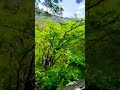 traveling Vibe #viralreels #travelvlog #shortvideo #reels #support #song #reels