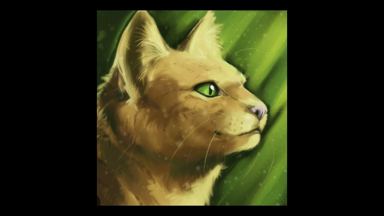 Le saviez vous ? LGDC