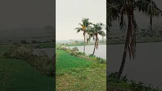 Bristhi R Din My Channel