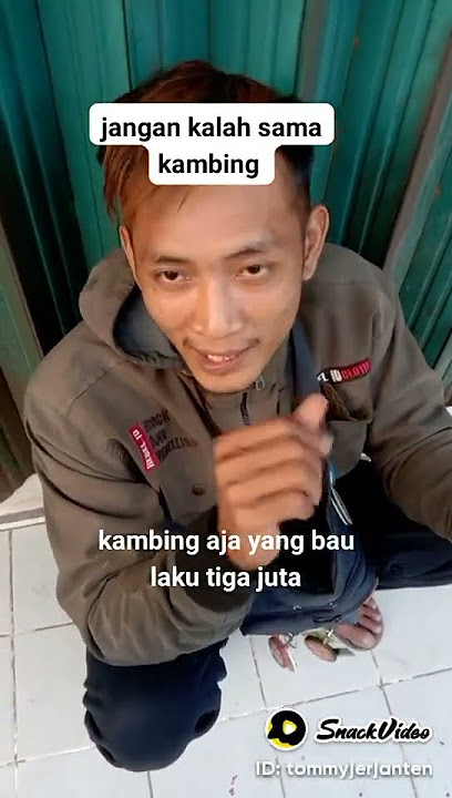 kata kata buat pelakor