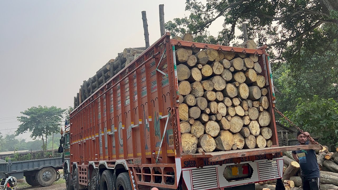 Gaddi Hogi load Aapni chacha v Aageya kol 6 November 2023# ...