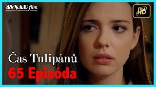 Čas Tulipánů | 65. Epizóda