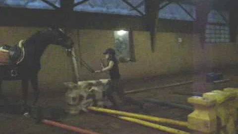 Nina THE CHUTE