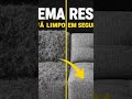 😳 Isso tirou TODOS os pelos do sofá (olha isso)