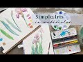 How to paint an Iris in watercolour!
