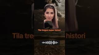 Tila Tregon Super Histori