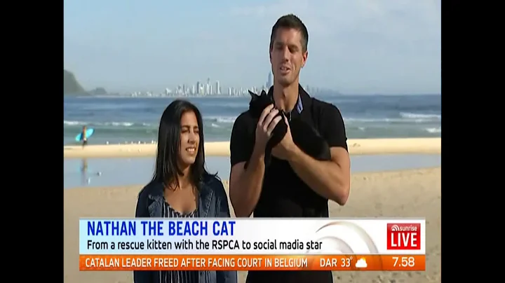 Nathan the Beach Cat's live Breakfast TV Appearance!