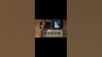 Arturia Prophet-5 V & Torso S-4 - Lyrical phrases -   #torso #touchosc #arturia #arturiakeystep