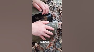 Open a large fossil egg  #fossils  #rock  #hunting  #ammonites  #shorts