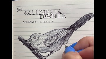 How to make a field guide