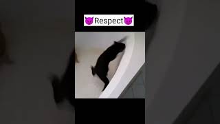 Respect videos #shorts #trynottolaugh #funniest #2 😂 | adios meme | funniest movies of all time
