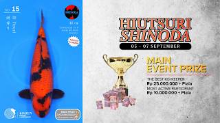 No. 15 Hi Utsuri 46 cm | Mini Event #2: Hi Utsuri Shinoda (KKC Vol. 2)