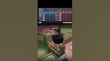 Absolute Domination with type 63 🔥🔥💀 #codm #callofdutymobile #shorts #viralshorts