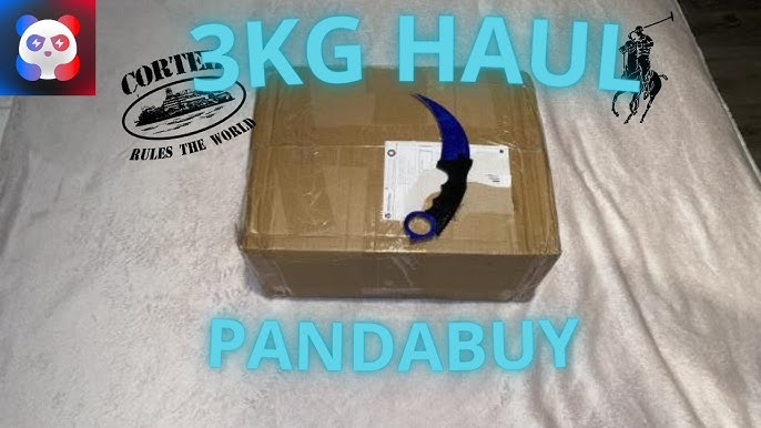 Pandabuy haul experience( Jordan 4 University Blue, LV wallet