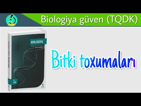 Biologiya ders 4. Bitki toxumaları (plant tissue)