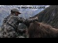 (Our Camp Got Destroyed) MONSTER Bull Tahr In The Wild Mountains Of NZ