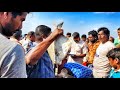 விலைக்கு ஏற்ற மீன்கள் சொன்னால் நம்ப மாட்டிங்கள் | Do not believe the price of fish