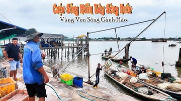 Een dag langs de Ganh Hao-rivierweg en het leven in de Mekongdelta, vreemd eenvoudig